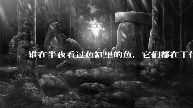 谁在半夜看过鱼缸里的鱼,它们都在干什么?