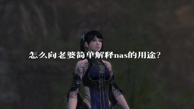 怎么向老婆简单解释nas的用途?