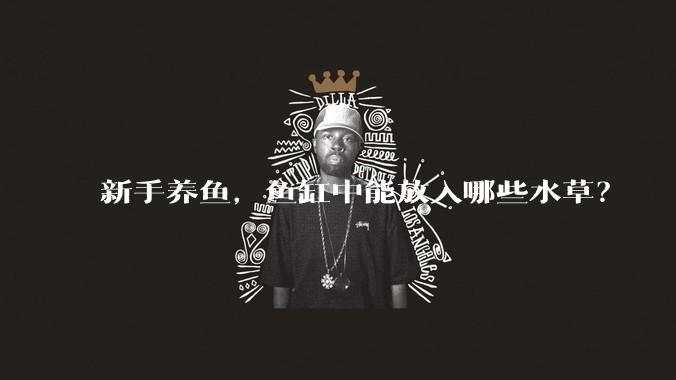 新手养鱼,鱼缸中能放入哪些水草?
