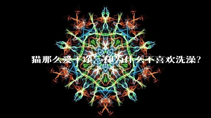 猫那么爱干净,却为什么不喜欢洗澡?