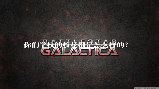 你们学校的校花都是怎么样的?