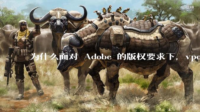 为什么面对 Adobe 的版权要求下,vposy 大神还能从容不迫?