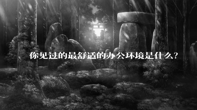 你见过的最舒适的办公环境是什么?