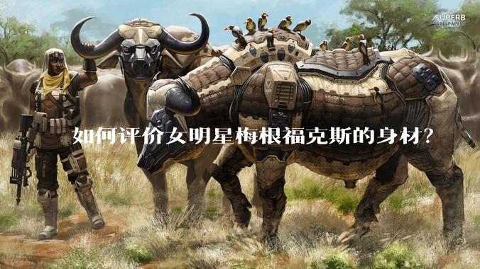 如何评价女明星梅根福克斯的身材?