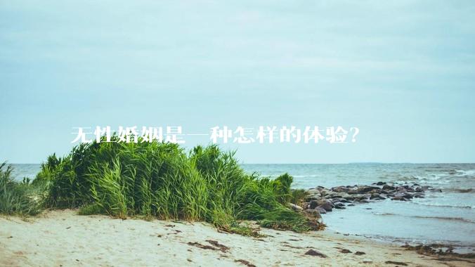 无性婚姻是一种怎样的体验?