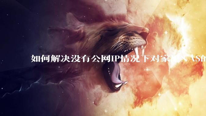 如何解决没有公网IP情况下对家里NAS的高速远程访问?
