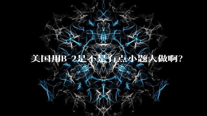 美国用B-2是不是有点小题大做啊?
