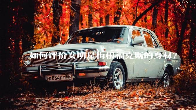 如何评价女明星梅根福克斯的身材?
