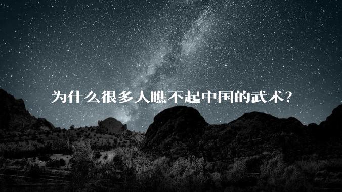 为什么很多人瞧不起中国的武术?