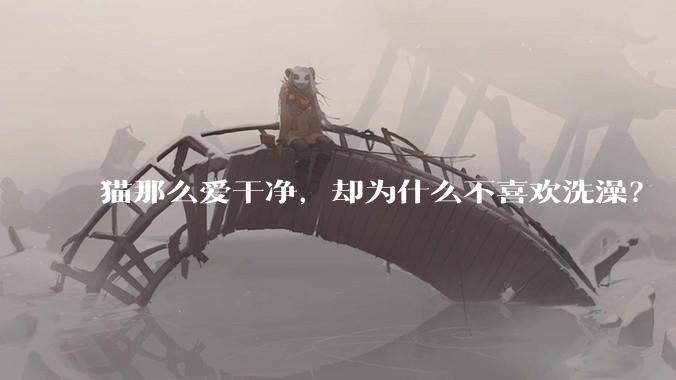 猫那么爱干净,却为什么不喜欢洗澡?