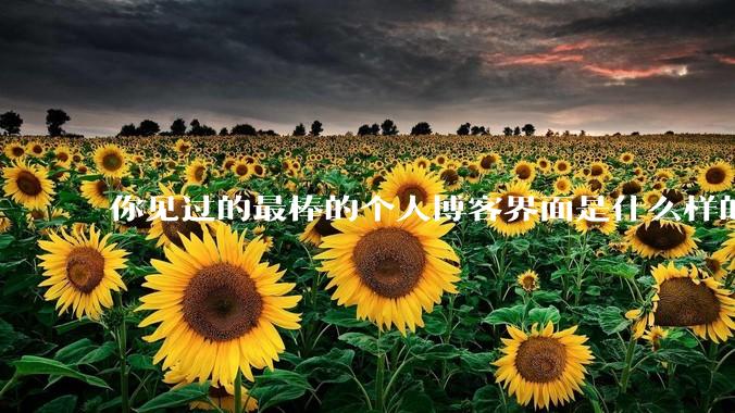 你见过的最棒的个人博客界面是什么样的?