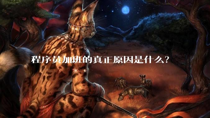 程序员加班的真正原因是什么?