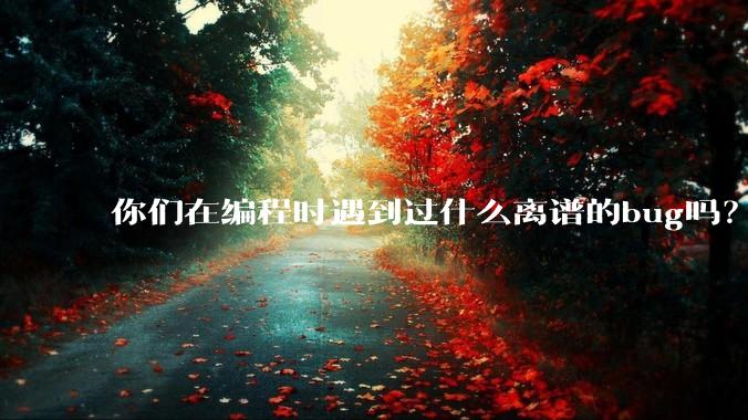 你们在编程时遇到过什么离谱的bug吗?