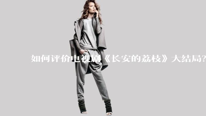 如何评价电视剧《长安的荔枝》大结局?