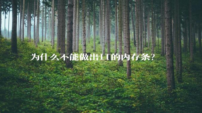 为什么不能做出1T的内存条?