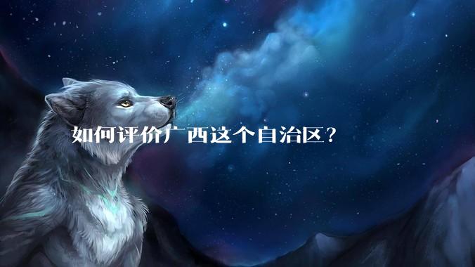 如何评价广西这个自治区?