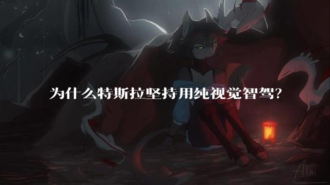 为什么特斯拉坚持用纯视觉智驾?