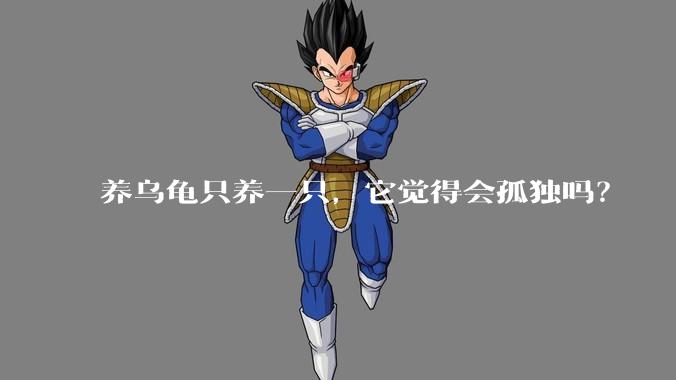 养乌龟只养一只，它觉得会孤独吗？