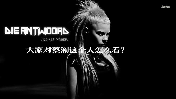 大家对蔡澜这个人怎么看?