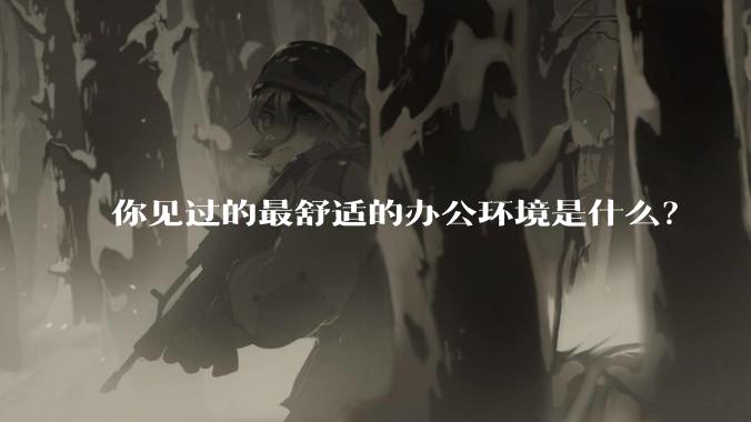 你见过的最舒适的办公环境是什么?