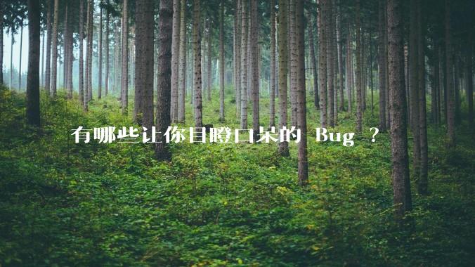 有哪些让你目瞪口呆的 Bug ?