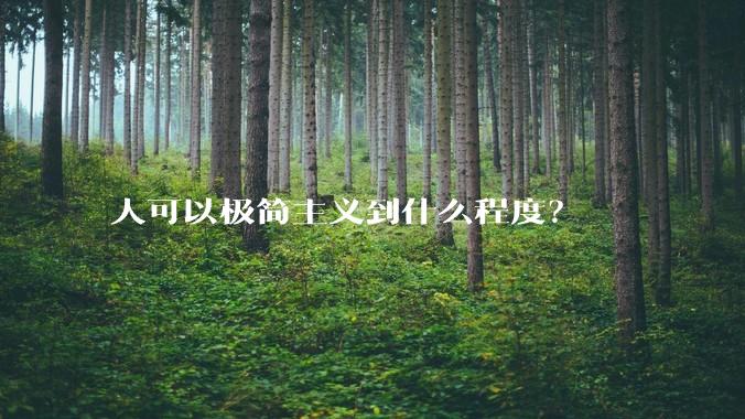 人可以极简主义到什么程度?
