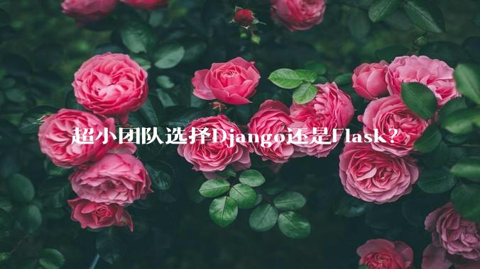 超小团队选择Django还是Flask?