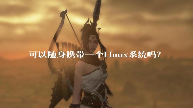 可以随身携带一个Linux系统吗?
