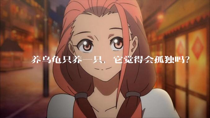 养乌龟只养一只,它觉得会孤独吗?