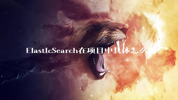 ElasticSearch在项目中具体怎么用?
