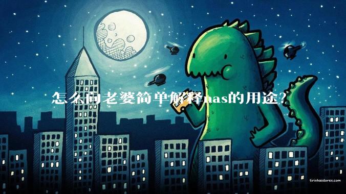 怎么向老婆简单解释nas的用途?