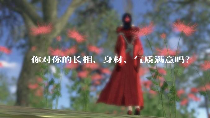 你对你的长相、身材、气质满意吗?