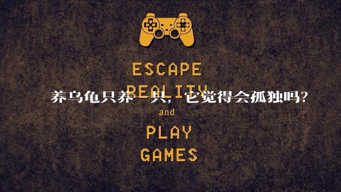 养乌龟只养一只,它觉得会孤独吗?