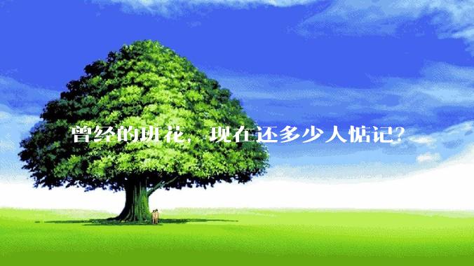 曾经的班花,现在还多少人惦记?