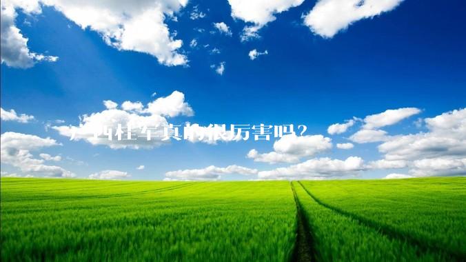 广西桂军真的很厉害吗?