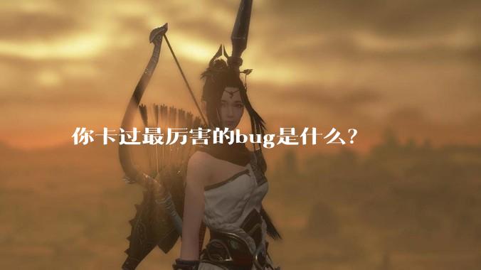 你卡过最厉害的bug是什么?