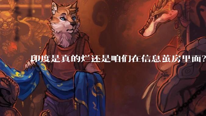 印度是真的烂还是咱们在信息茧房里面?