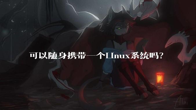 可以随身携带一个Linux系统吗?