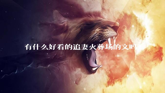 有什么好看的追妻火葬场的文吗?
