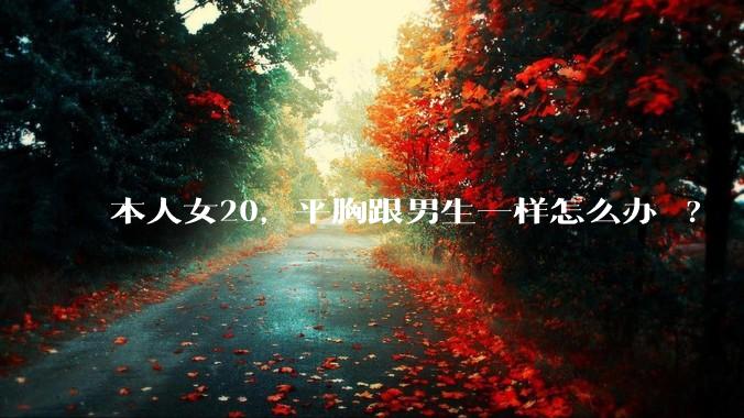 本人女20,平胸跟男生一样怎么办 ?
