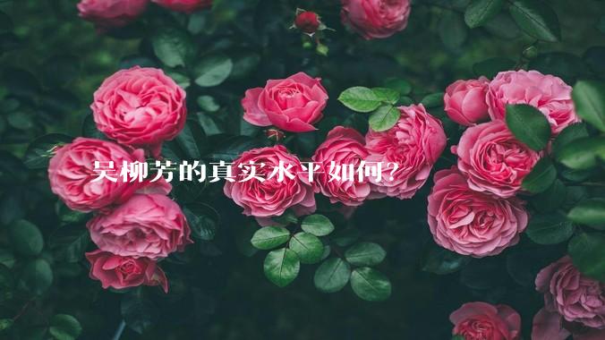 吴柳芳的真实水平如何?