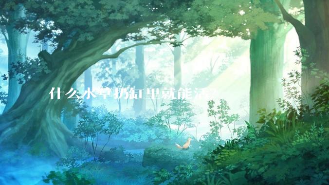 什么水草扔缸里就能活?