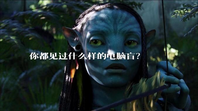 你都见过什么样的电脑盲?