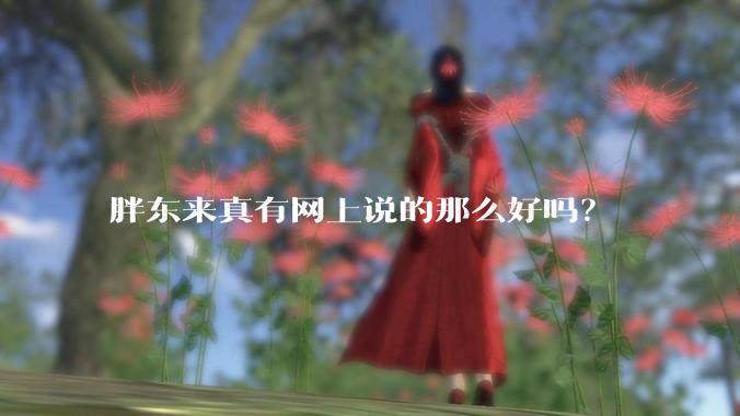 胖东来真有网上说的那么好吗?