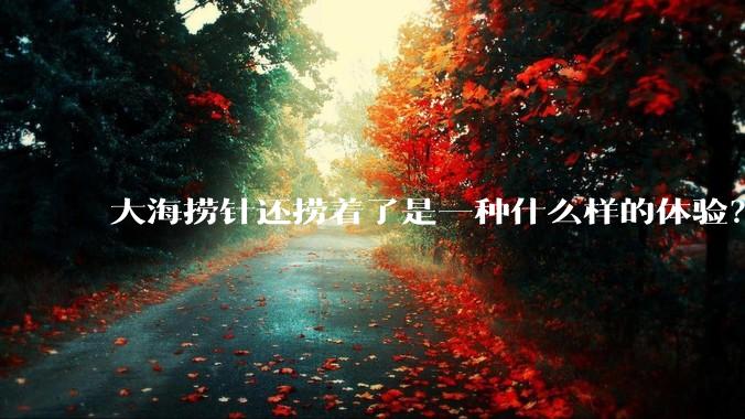 大海捞针还捞着了是一种什么样的体验?