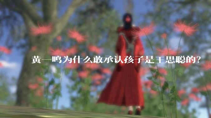 黄一鸣为什么敢承认孩子是王思聪的?
