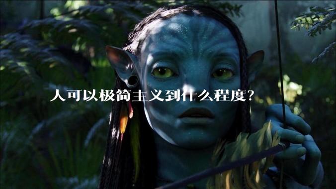 人可以极简主义到什么程度?