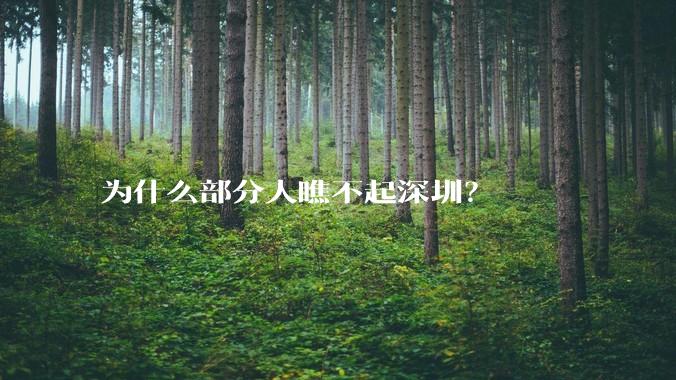 为什么部分人瞧不起深圳?