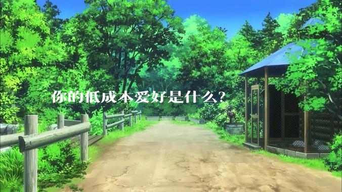 你的低成本爱好是什么?
