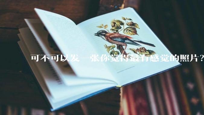可不可以发一张你觉得最有感觉的照片?